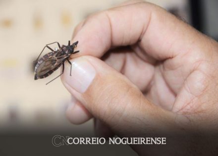 estudo-com-apoio-do-estado-de-sp-mostra-que-droga-contra-leucemia-pode-combater-doenca-de-chagas-correio-nogueirense