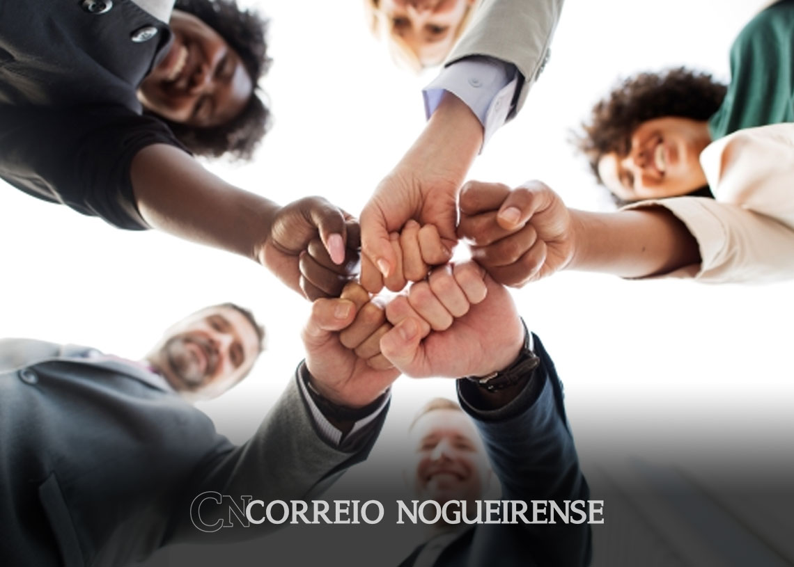 ferramenta-permite-comparar-situacao-de-equidade-racial-e-de-genero-correio-nogueirense