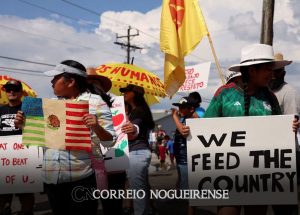 florida-proibe-carteiras-de-motorista-de-imigrantes-que-vivem-ilegalmente-nos-eua-correio-nogueirense