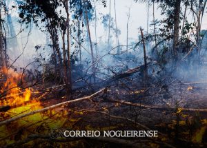 periodo-de-seca-aumenta-riscos-de-queimadas-correio-nogueirense