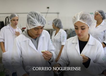 pesquisa-defende-expansao-dos-cursos-tecnicos-no-brasil-correio-nogueirense