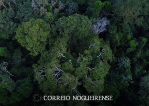 png_20230717_115311_0000