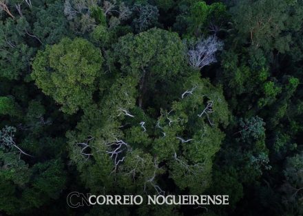 png_20230717_115311_0000