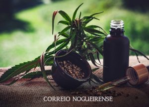 png_20230718_093043_0000