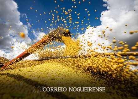 relatorio-denuncia-relacao-entre-mercado-e-grilagem-no-cerrado-correio-nogueirense