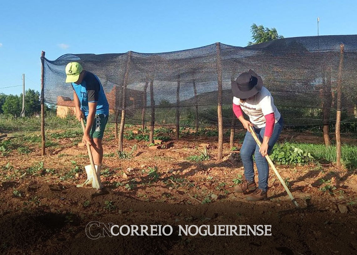 trabalhadores-pedem-reducao-de-juros-para-produzir-alimentos-no-brasil-correio-nogueirense