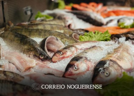 consumo-de-pescado-cresce-65-no-brasil-desde-2004-correio-nogueirense