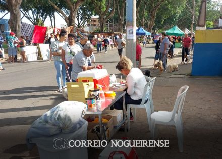domingo-tem-ponto-de-vacina-contra-raiva-na-feira-livre-de-artur-nogueira-correio-nogueirense