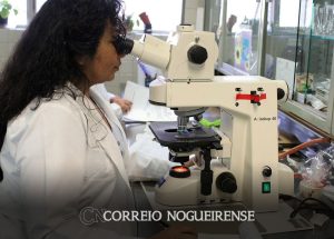 empoderamento-feminino-no-brasil-e-medio-baixo-mostra-onu-correio-nogueirense