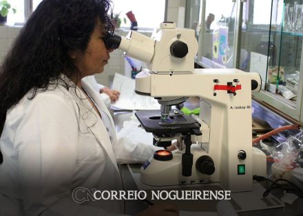 empoderamento-feminino-no-brasil-e-medio-baixo-mostra-onu-correio-nogueirense