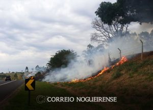 mais-de-90-dos-incendios-florestais-no-estado-de-sp-sao-ocasionados-por-acoes-humanas-correio-nogueirense
