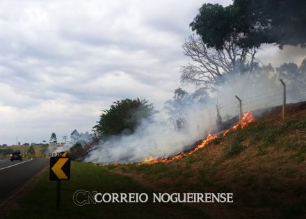 mais-de-90-dos-incendios-florestais-no-estado-de-sp-sao-ocasionados-por-acoes-humanas-correio-nogueirense
