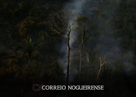 pais-teve-215-milhoes-de-hectares-queimados-no-primeiro-semestre-correio-nogueirense