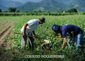 png_20230804_093725_0000