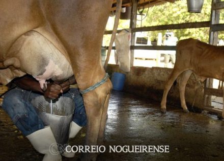 png_20230817_103156_0000