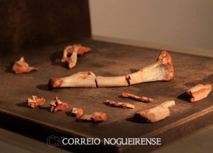 png_20230818_090311_0000