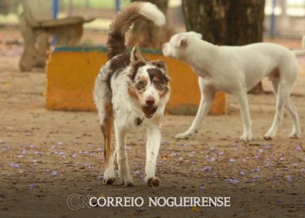 png_20230822_085752_0000