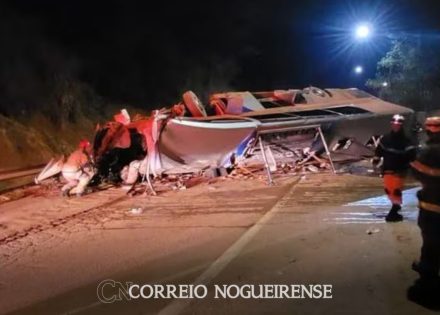 png_20230822_092157_0000