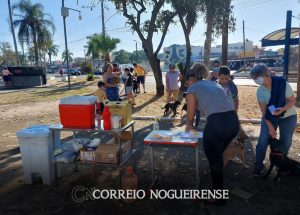 ponto-de-vacina-contra-raiva-estara-no-jd-planalto-nesta-quarta-correio-nogueirense