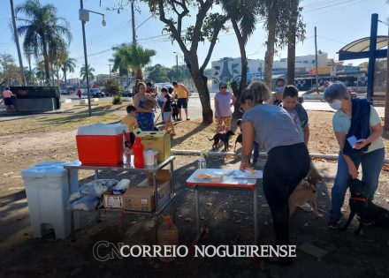 ponto-de-vacina-contra-raiva-estara-no-jd-planalto-nesta-quarta-correio-nogueirense