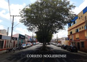 prefeitura-incentiva-comercios-nogueirenses-a-adquirir-selo-estabelecimento-amigo-da-mulher-correio-nogueirense