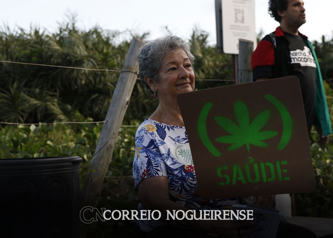 uruguai-comercio-legal-de-maconha-supera-10-toneladas-em-seis-anos-correio-nogueirense