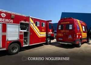 criancas-e-funcionarios-sao-atacados-por-abelhas-em-creche-de-artur-nogueira-correio-nogueirense-capa