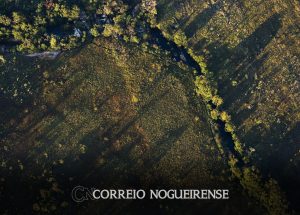 desmatamento-do-cerrado-ameaca-seguranca-hidrica-de-todo-o-brasil-correio-nogueirense