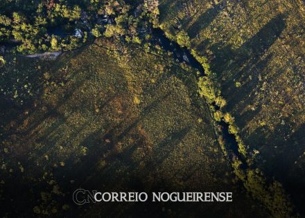 desmatamento-do-cerrado-ameaca-seguranca-hidrica-de-todo-o-brasil-correio-nogueirense