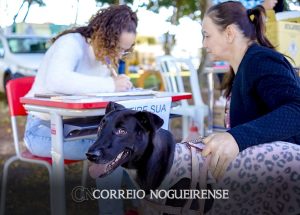 domingo-tem-ponto-de-vacina-contra-raiva-na-feira-livre-de-artur-nogueira-2-correio-nogueirense