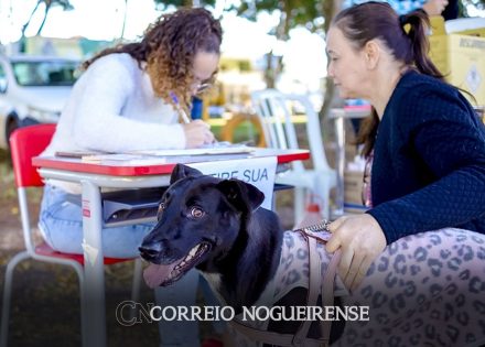 domingo-tem-ponto-de-vacina-contra-raiva-na-feira-livre-de-artur-nogueira-2-correio-nogueirense