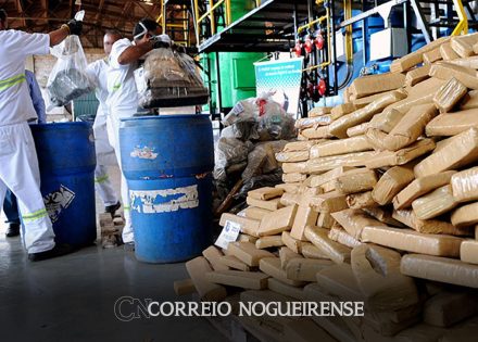 pesquisa-revela-graves-problemas-na-aplicacao-da-lei-de-drogas-correio=nogueirense