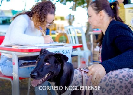 png_20230901_141118_0000