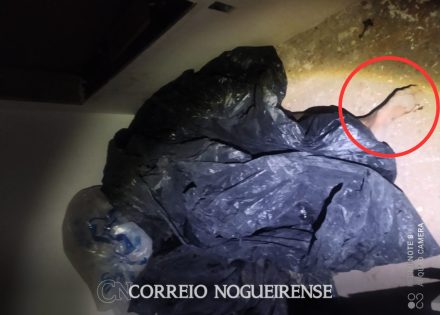 png_20230903_160543_0000