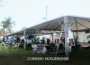 3a-feira-do-verde-reunira-plantas-ornamentais-frutiferas-e-artesanatos-em-artur-nogueira-correio-nogueirense