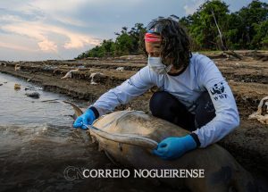 alckmin-e-ministros-vao-a-manaus-discutir-medidas-contra-seca-extrema-correio-nogueirense