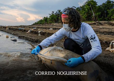 alckmin-e-ministros-vao-a-manaus-discutir-medidas-contra-seca-extrema-correio-nogueirense