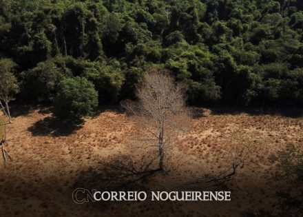 brasil-perde-15-de-florestas-naturais-em-quase-40-anos-diz-mapbiomas-correio-nogueirense