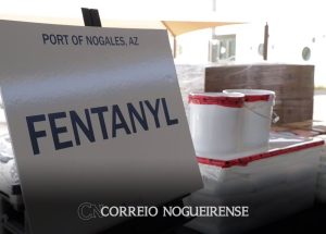 filhos-de-el-chapo-proibem-producao-de-fentanil-em-sinaloa-segundo-cartazes-correio-nogueirense