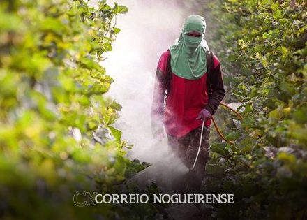 fiocruz-manifesta-preocupacao-quanto-a-aprovacao-do-pl-dos-agrotoxicos-correio-nogueirense
