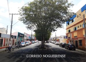 meis-respondiam-por-19-das-ocupacoes-formais-no-brasil-em-2021-correio-nogueirense