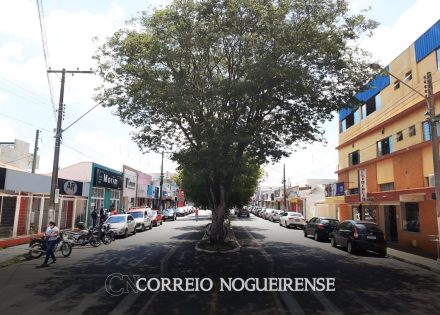 meis-respondiam-por-19-das-ocupacoes-formais-no-brasil-em-2021-correio-nogueirense