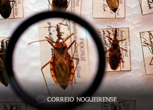 plataforma-pretende-reunir-pesquisas-sobre-a-doenca-de-chagas-correio-nogueirense