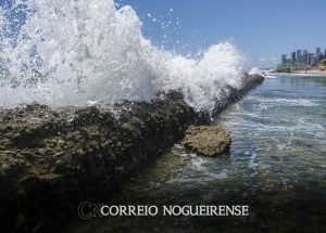 corais-podem-evitar-r-160-bilhoes-em-danos-ao-litoral-do-nordeste-correio-nogueirense
