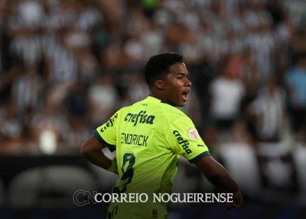 palmeiras-arranca-vitoria-sobre-botafogo-e-deixa-brasileiro-aberto-correio-nogueirense