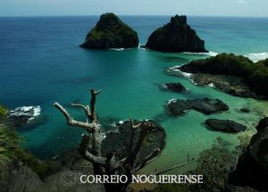 png_20231116_081602_0000