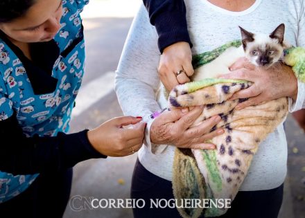 png_20231119_172147_0000