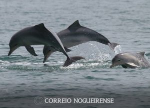 png_20231127_094146_0000