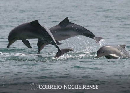 png_20231127_094146_0000