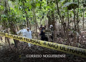 amazonia-tem-taxa-de-assassinatos-superior-a-media-nacional-correio-nogueirense